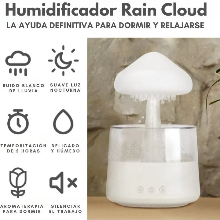 Rain Cloud Aromatherapy Humidifier And Diffuser