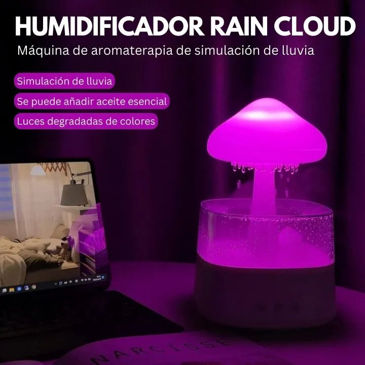 Rain Cloud Aromatherapy Humidifier And Diffuser