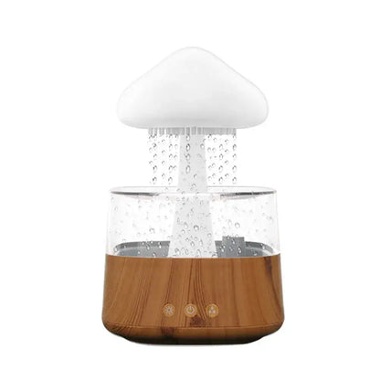 Rain Cloud Aromatherapy Humidifier And Diffuser